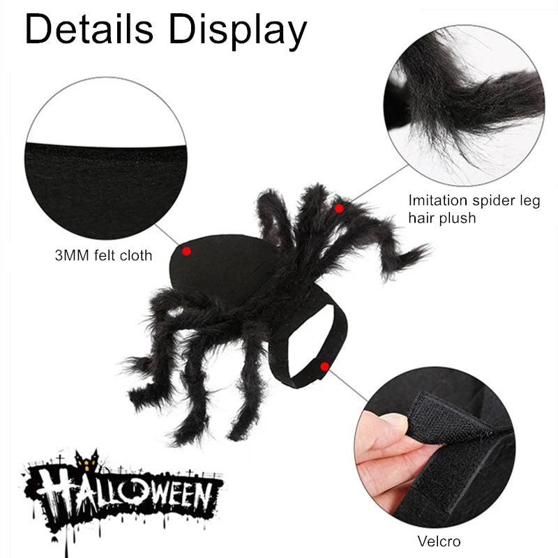Spidey Cat™ Costume