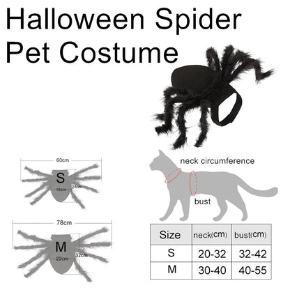 Spidey Cat™ Costume