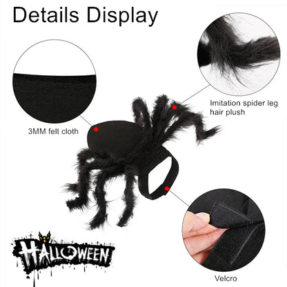 Spidey Cat™ Costume